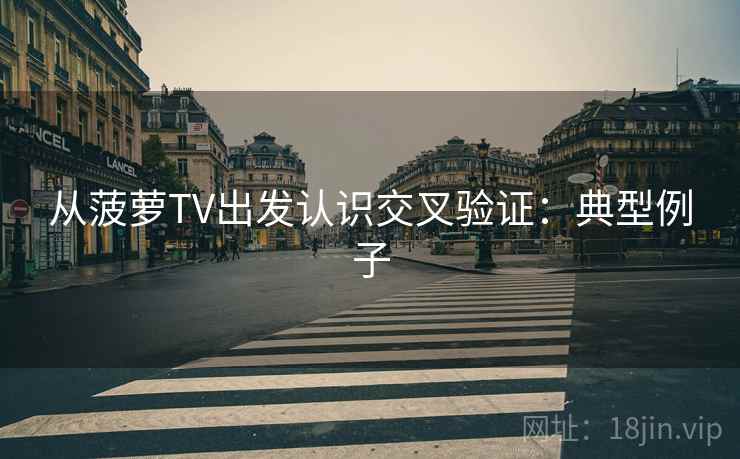 从菠萝TV出发认识交叉验证：典型例子
