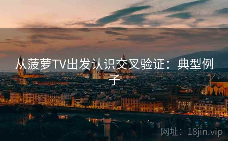 从菠萝TV出发认识交叉验证：典型例子